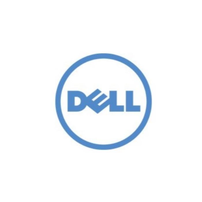Dell Technologies DELL 400-BGEB disco rigido interno 3.5 1000 GB Serial ATA III