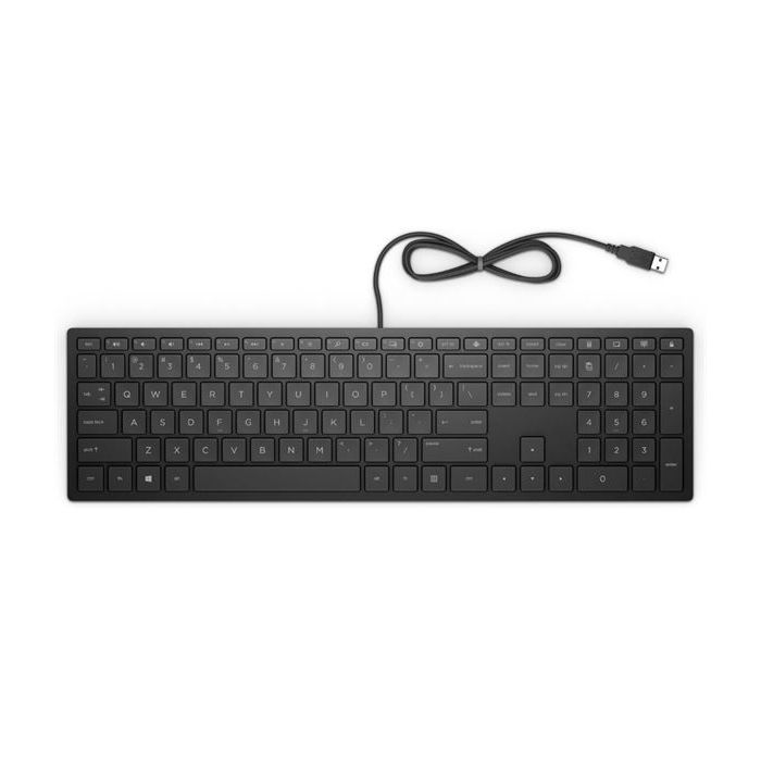 HP Inc Pavilion Wired Keyboard 300