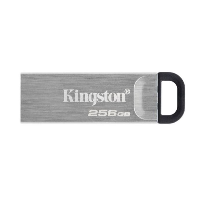 Kingston DTKN/256GB