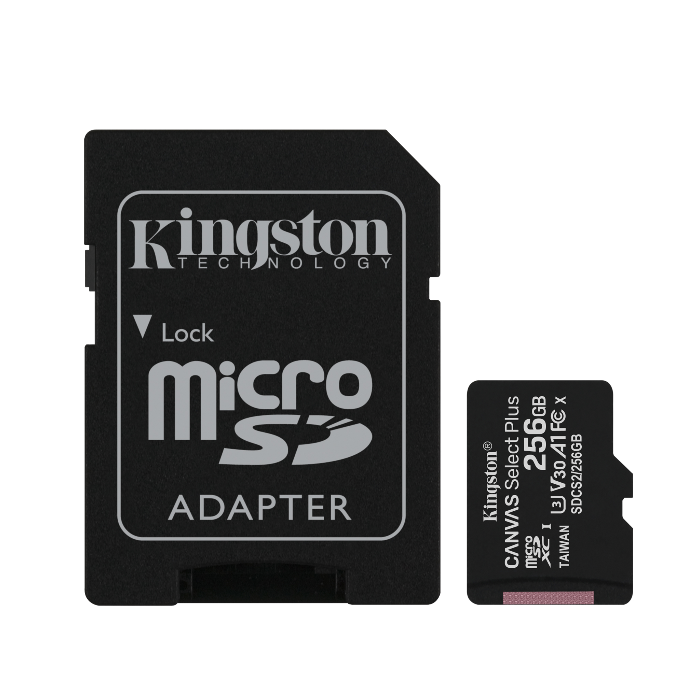 Kingston SDCS2/256GB