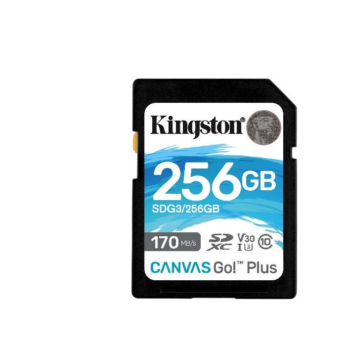 Kingston SDG3/256GB