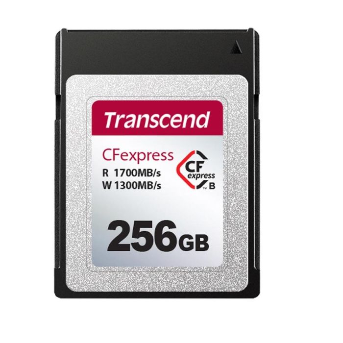 Transcend TS256GCFE820