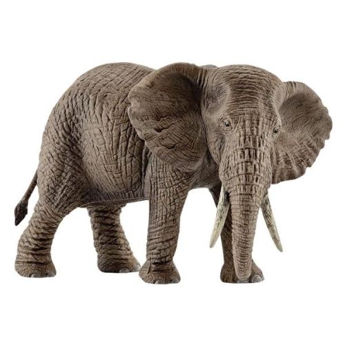 Schleich Schleich - SH Femmina di Elefante Africano