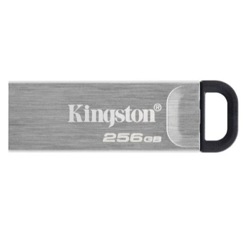 Kingston DTKN/256GB