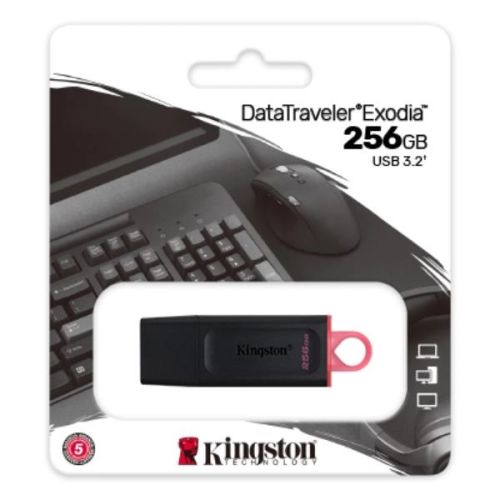 Kingston 256GB USB3.2 Gen1 DataTraveler Exodia