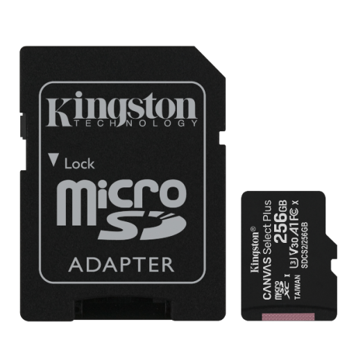 Kingston SDCS2/256GB