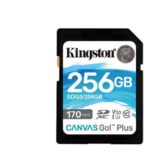 Kingston SDG3/256GB