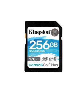 Kingston SDG3/256GB